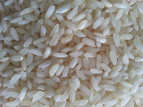 Swarna Rice