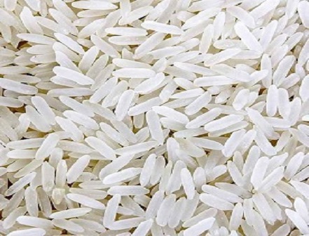 Organic Sona Masoori Rice