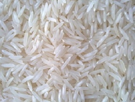 Organic Basmati Rice