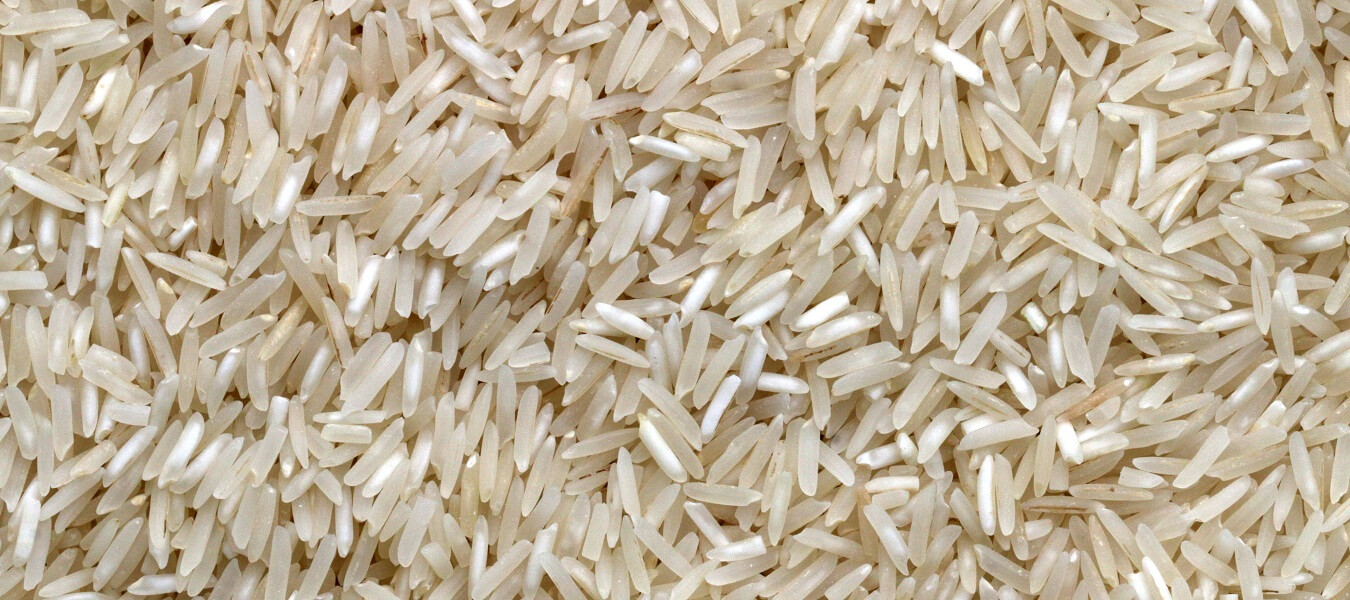 MG Rice India